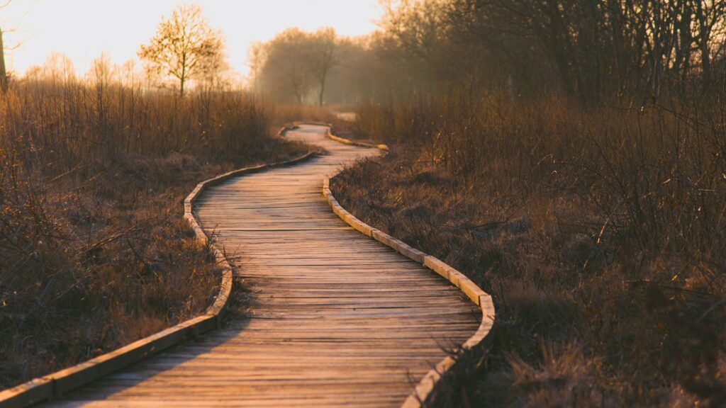 Historia de vida y proyecto de vida - Herramientas Envita