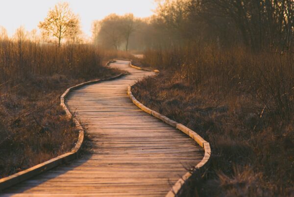 Historia de vida y proyecto de vida - Herramientas Envita